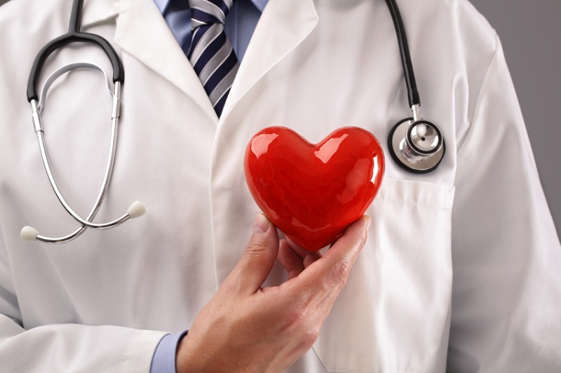 doctor shows healthy heart